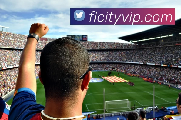 富丽新城官网发展历程